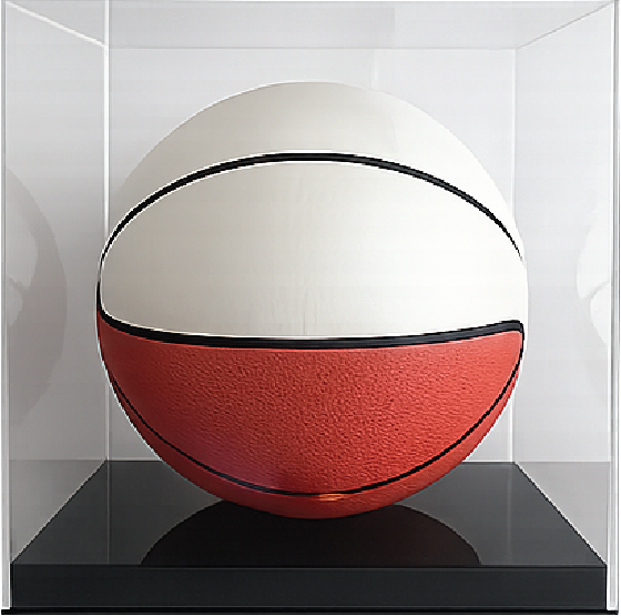 Basketball Display Case