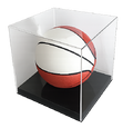 Basketball Display Case